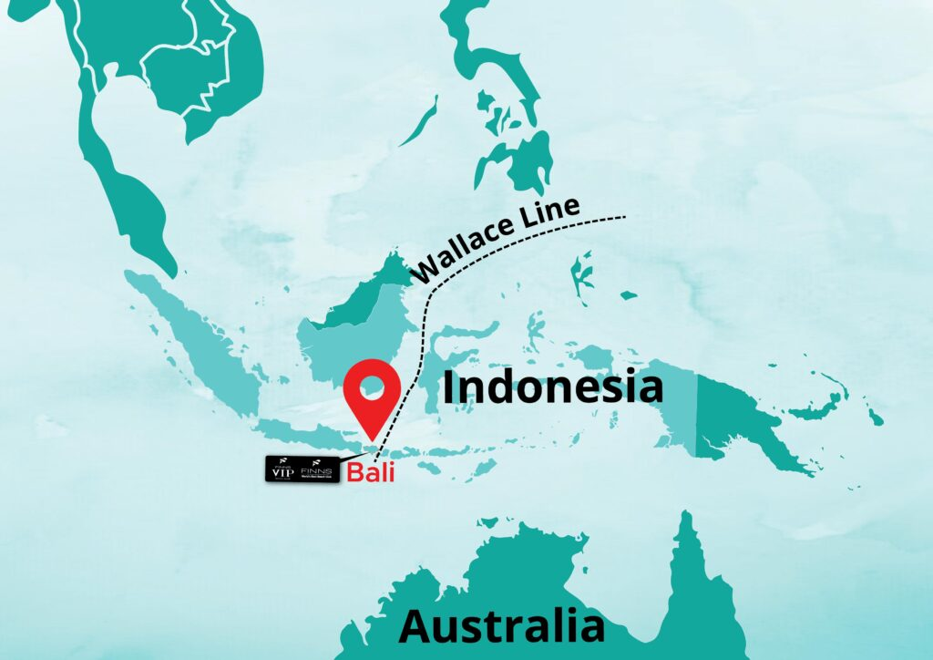 Map showing the Wallace Line's location near Bali in Indonesia, marking a biogeographical boundary between Asia and Australasia.