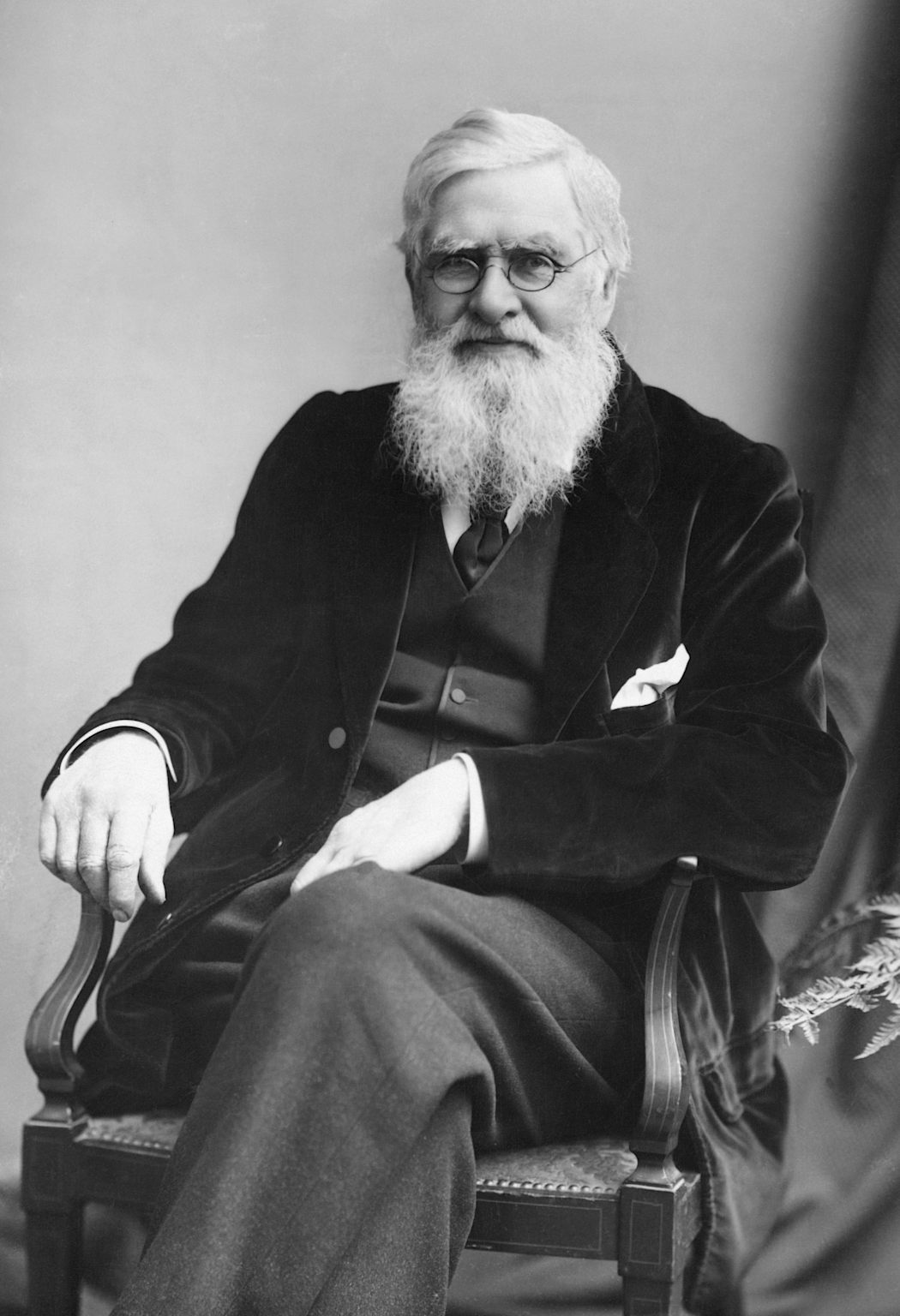 Alfred Russel Wallace, 19th-century naturalist associated with the Wallace Line biogeographical boundary.
